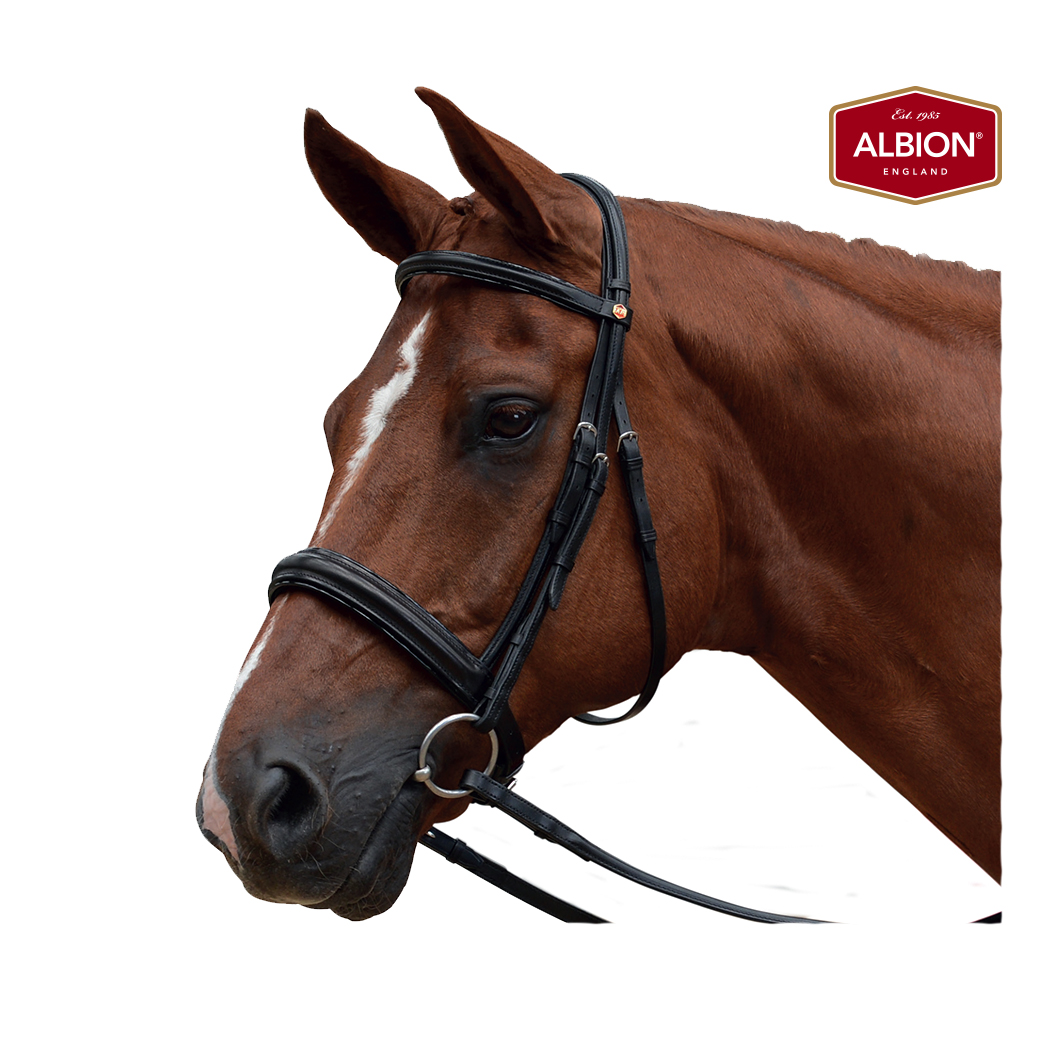 Albion KB Super Snaffle Bridle Equestrian House
