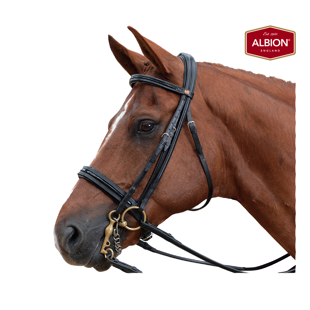 Albion KB Super Weymouth Bridle Equestrian House