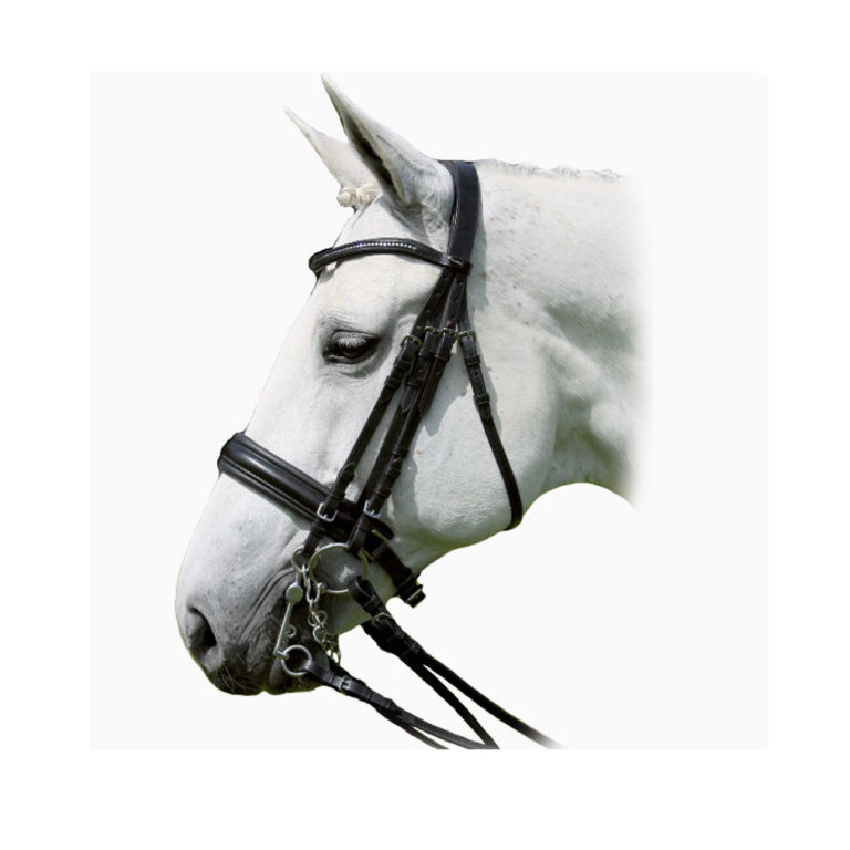 Waldhausen Wembley Leather Lunge Cavesson Bridle Equestrian House