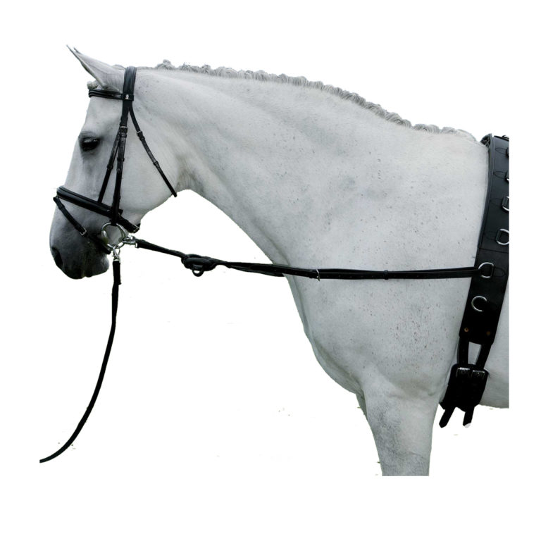 Waldhausen Wembley Leather Lunge Cavesson Bridle Equestrian House