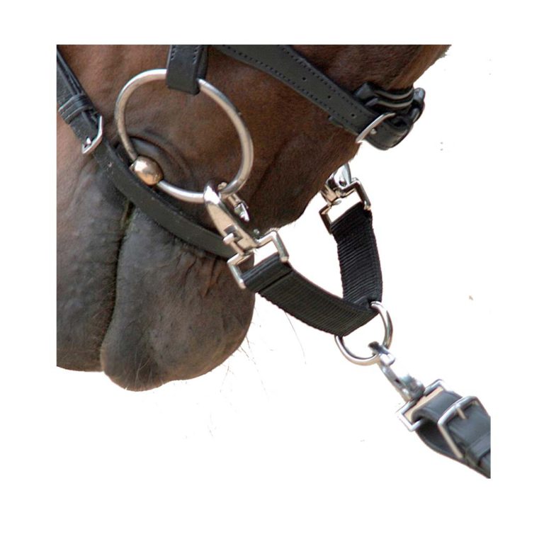 Waldhausen Wembley Leather Lunge Cavesson Bridle Equestrian House