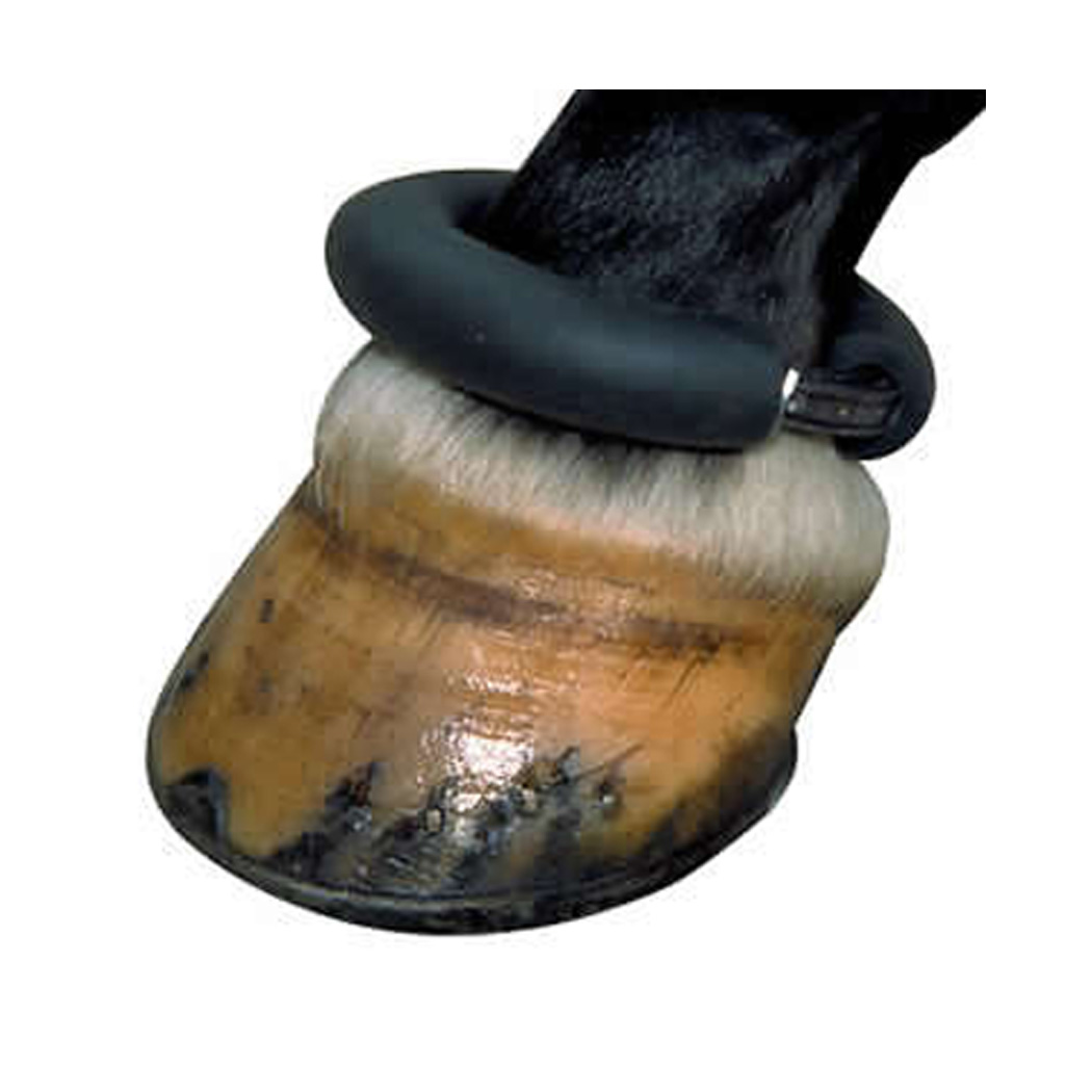 Fetlock Ring / Brushing Ring Equestrian House