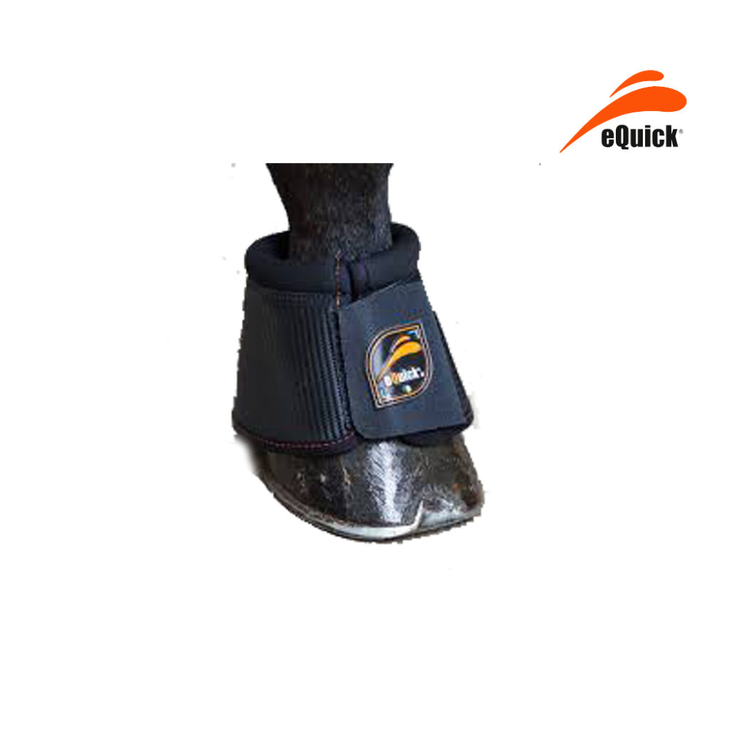 Horse Leg Protection Archives Page 2 of 9 Equestrian House