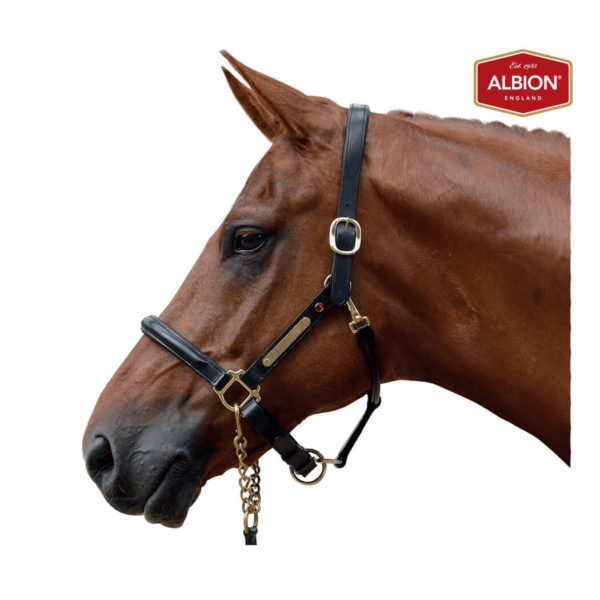 Albion Head-collar