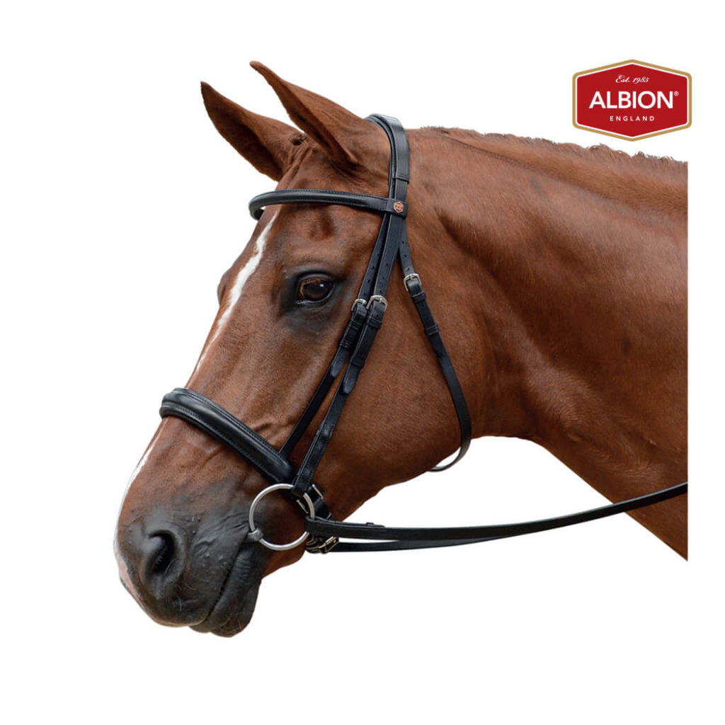 Albion KB Competition Snaffle Bridle - Equestrian House