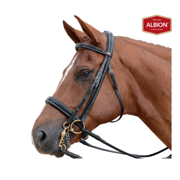 Albion KB Super Weymouth Bridle
