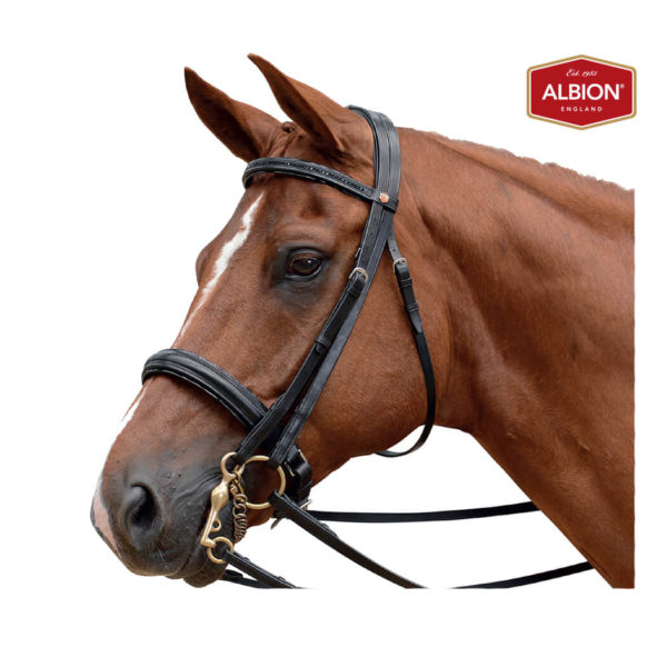 Albion KB Competition Weymouth Bridle