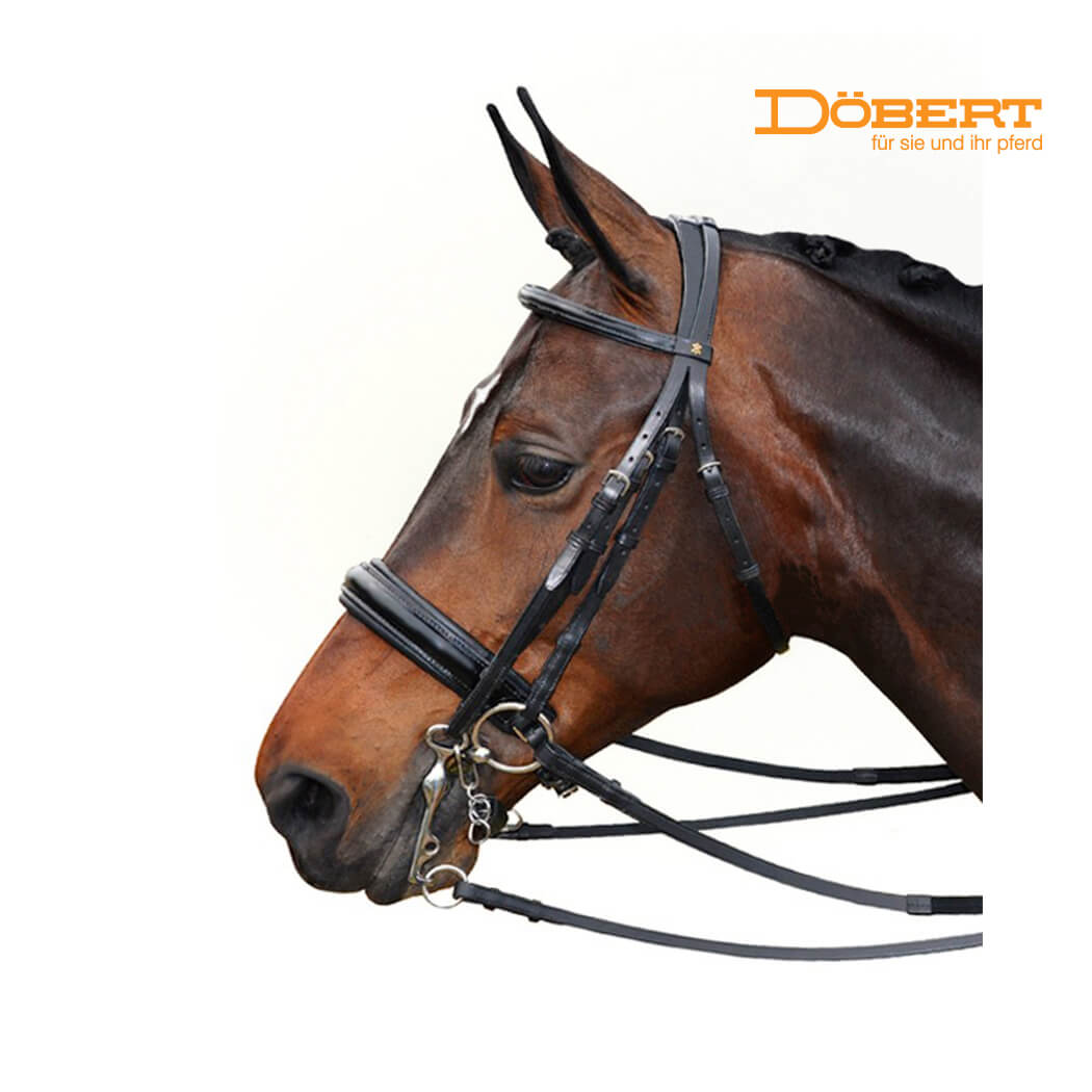 Döbert Stallmeister Weymouth Bridle