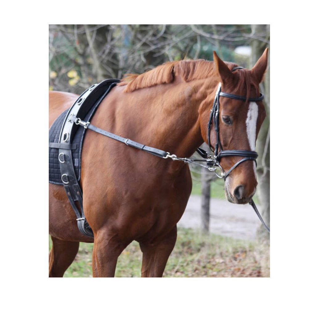 Waldhausen Riding and Lungeing System Gentle Way Equestrian House