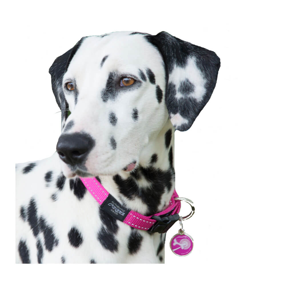 Rogz Side Release Dog Collar -Reflective