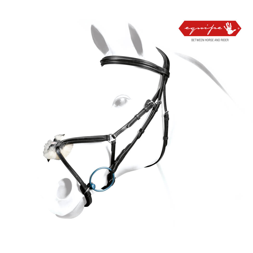 Equipe "No Stress" Padded Bridle - Grackle Noseband