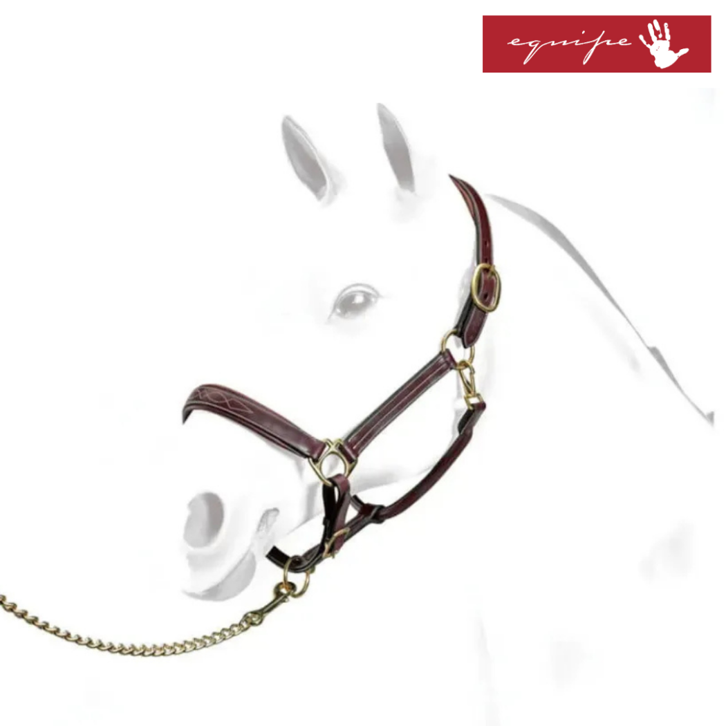 Equipe Emporio Padded Leather Halter