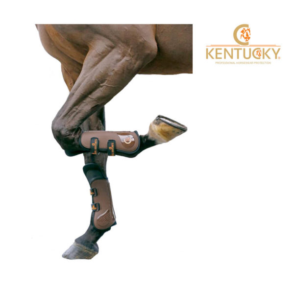 Kentucky Knee Tendon Boot