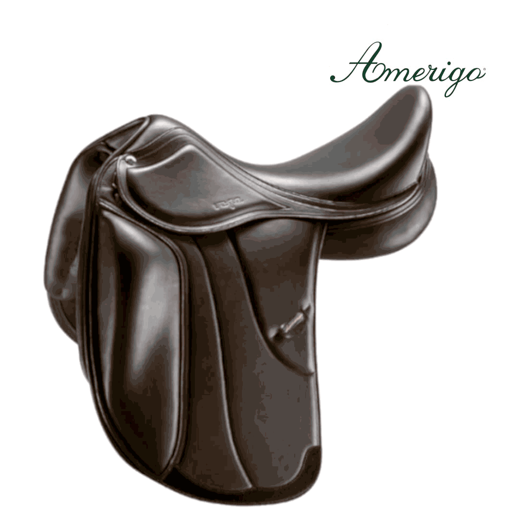 Amerigo Vega Dressage Saddle