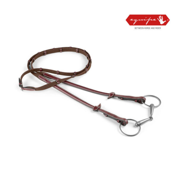 Equipe Webbed Reins