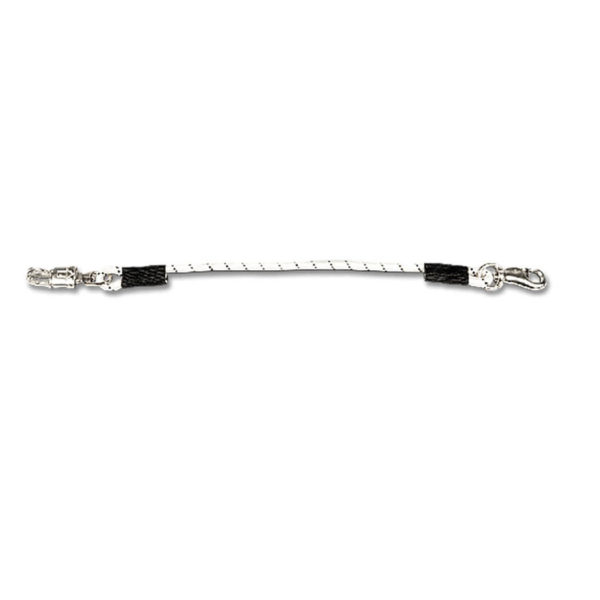 Elastic Trailer Tie