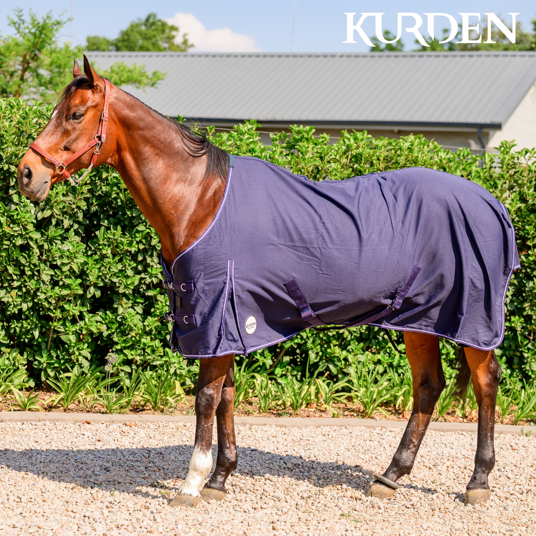 Kurden Blankets Web Images