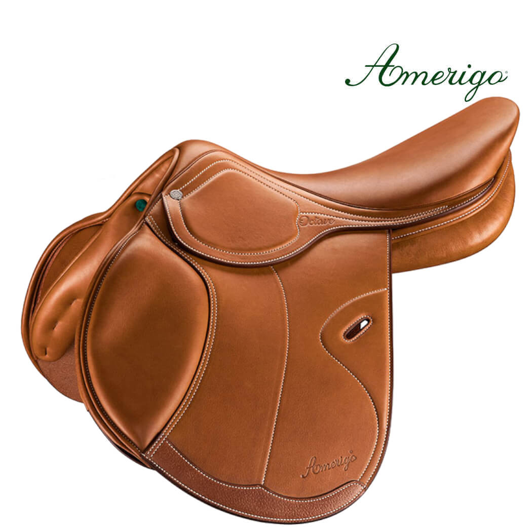 Amerigo Octave S Pinerolo Jumping