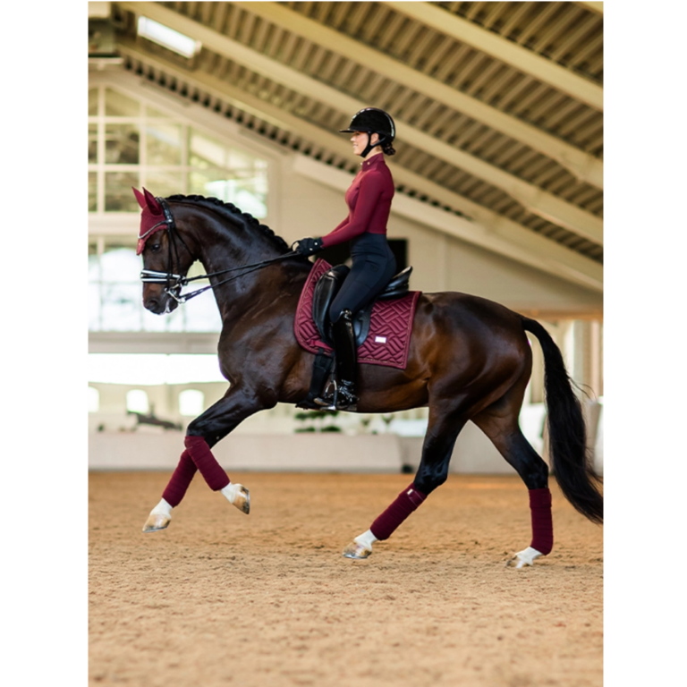 Equestrian House Premier Equestrian Tack, Apparel & Feed Store