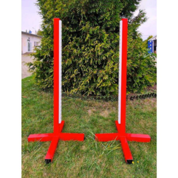 Single Standard Wing