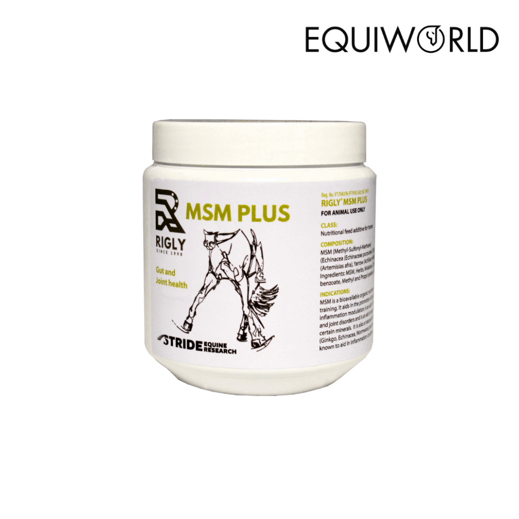 MSM Plus Paste 500ml